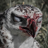 Avatar for Reagahn