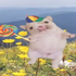 Avatar for chinomorenosmic