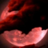 Avatar for bloody_moon