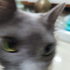 Avatar for Eucarli
