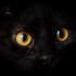 Janick_666 için avatar
