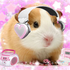 Avatar for catyoin