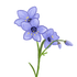 Avatar for natalexandra77