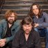 The Paul Deslauriers Band 的头像