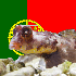Avatar for felixcippi