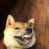 dotcade için avatar