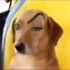 joharim için avatar