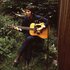 Avatar for Paul McCartney