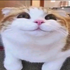 nanafifon 的头像