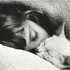 _minami_ için avatar