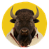 Avatar de WuetenderBison