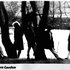 The Pleasure Garden 的头像