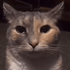 Avatar for YOURMUM212