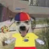 Avatar de creizz