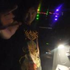 skeletoncircus 的头像
