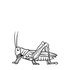 Grasshopper1966 için avatar