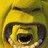 Avatar for sandyamenezesz