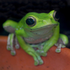 Avatar for lazyyfroggy