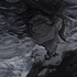 Avatar for scr1pt_
