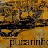 Pucarinho için avatar