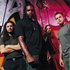 Avatar di Sepultura