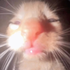 Avatar for g_ksn
