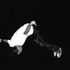 Avatar di hawk267
