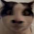 Avatar für tiramisu_225
