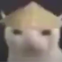Avatar for xat0