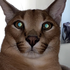 Avatar de ratteatte