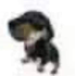 Avatar for Pedropedroped