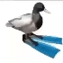 Avatar für koenkys