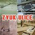Zvuk Ulice 的头像