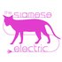 Awatar dla The Siamese Electric