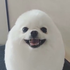 Avatar for gregguuu