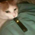 Avatar for penisboy1234