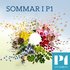 Avatar for Sommar & Vinter i P1