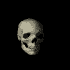 Avatar for Skelly__