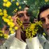 Avatar for Télépopmusik