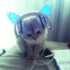 rigbysjamming 的头像