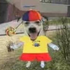 Avatar for Erro_403
