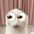 Avatar for kev_122