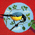 Avatar for mies_pies