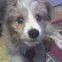 Inka55 için avatar