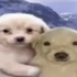 Avatar di menose