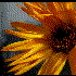Avatar for agataka99