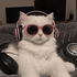 Avatar for xautomatisch