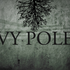 VyPole 的头像