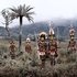 Avatar for Huli Highlanders