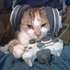 Avatar for dickdestroyer69